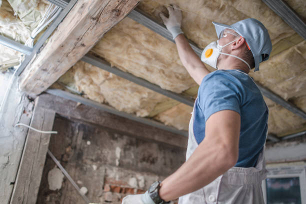 Types of Insulation We Offer in Genoa, OH