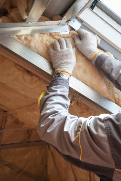Professional Insulation Contractor in Genoa, OH