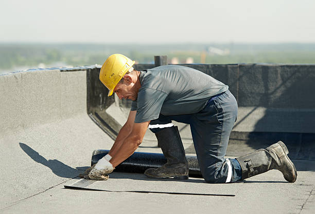 Best DIY Insulation Kits and Guidance in Genoa, OH